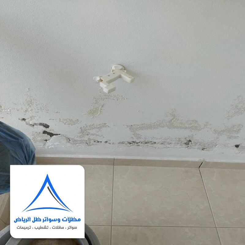علاج رطوبة الجدران حي السويدي الرياض
