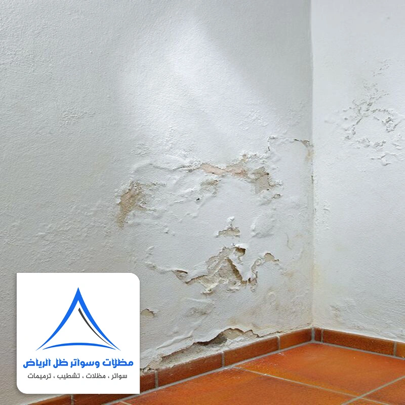 علاج رطوبة الجدران حي السويدي الرياض